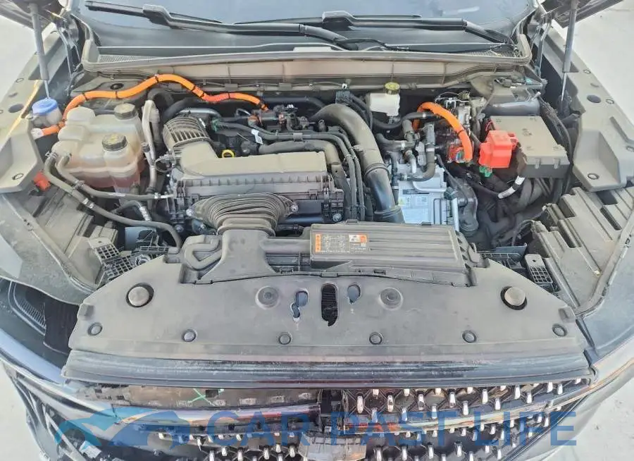 5LMPJ8K42RJ826312# 12