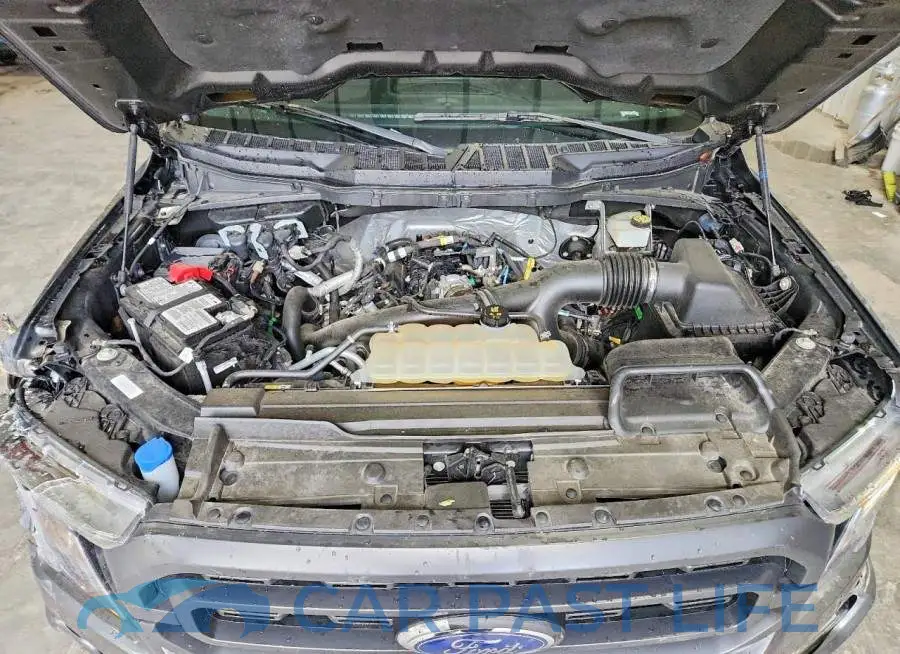 1FTEW1EP5PFB66649# 11