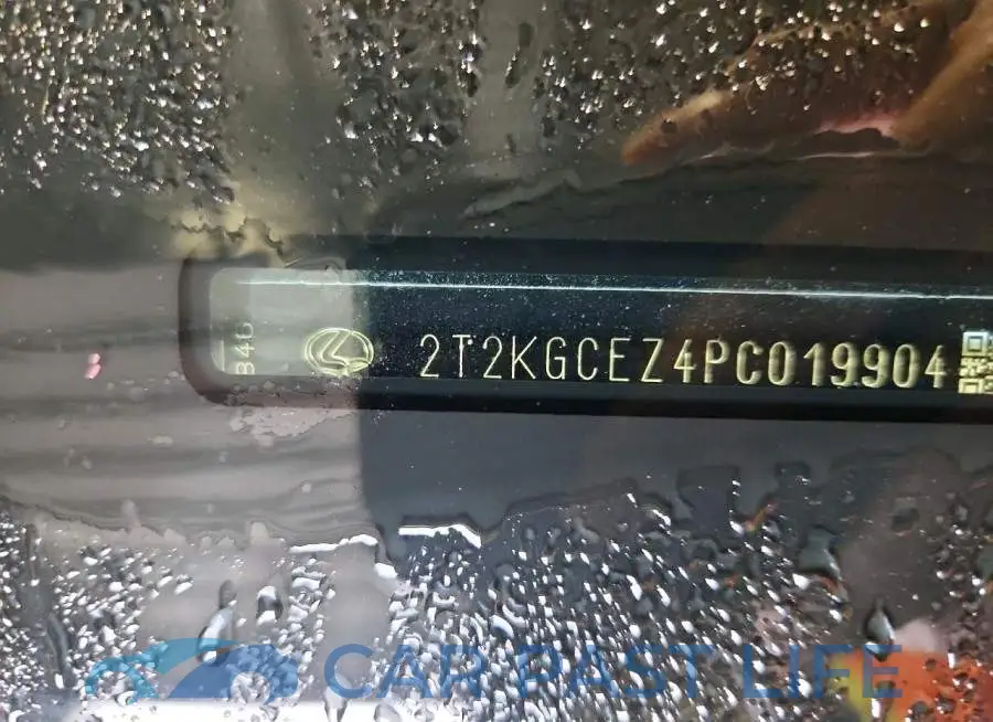 2T2KGCEZ4PC019904# 13