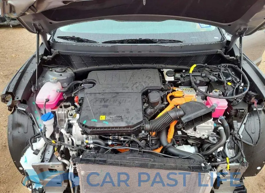 KNDCP3LE4T5361949# 12