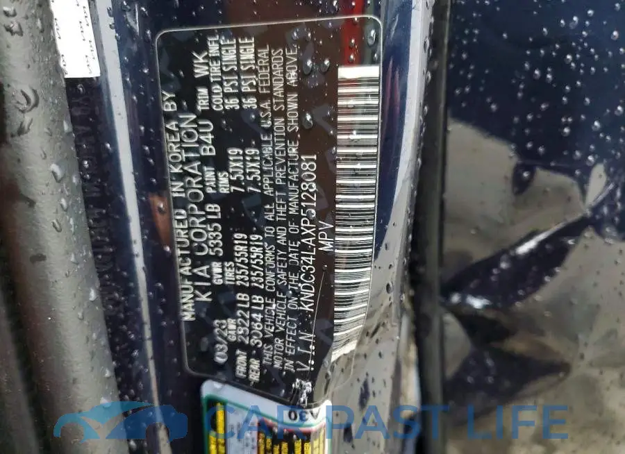 KNDC34LAXP5128081# 13