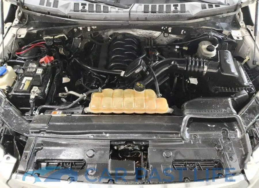 1FTFW1EF6HFA23156# 11