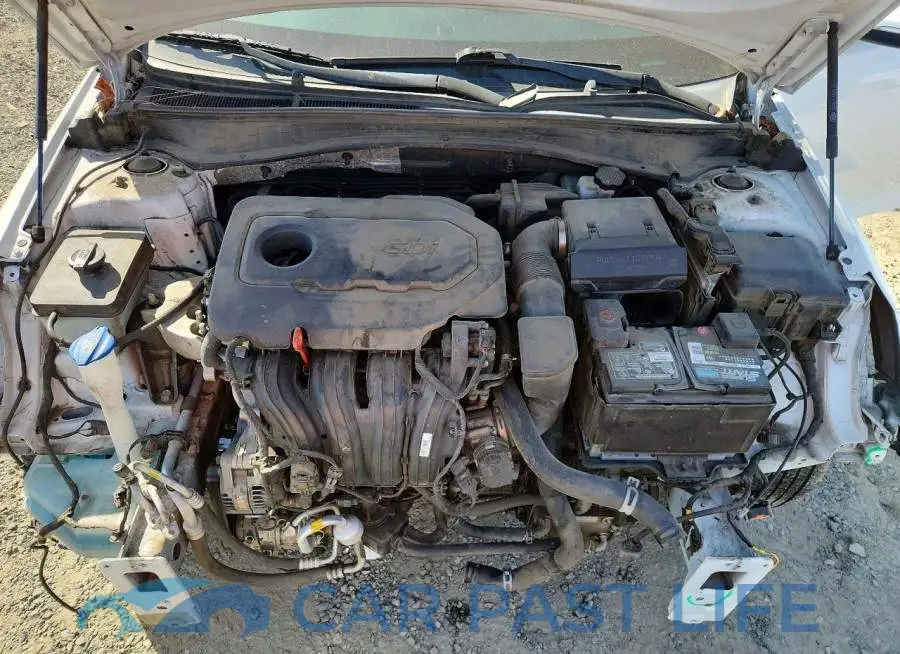 5XXGT4L31LG395456# 11