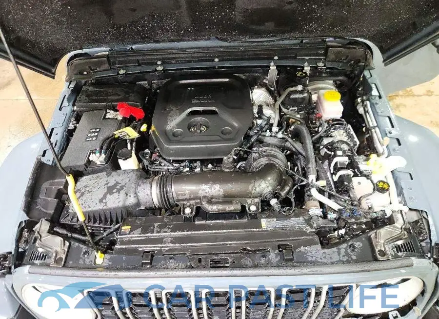 1C4PJXEN8TW264061# 12