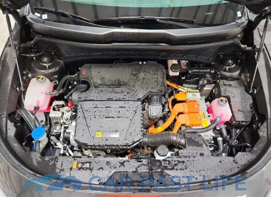 KNDCP3LE4T5316896# 12