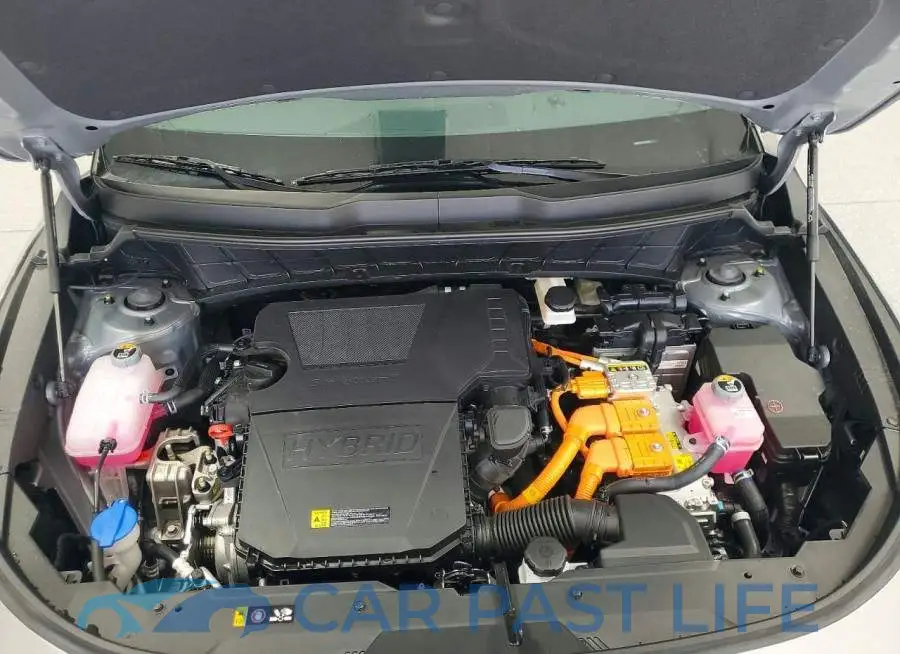 KNDCP3LE9T5363907# 11