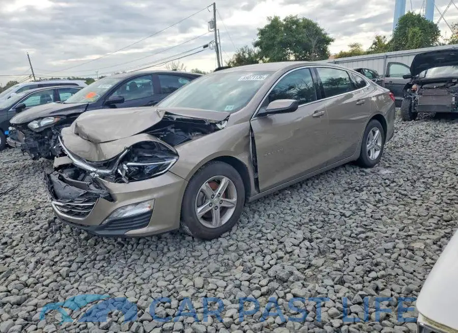 1G1ZD5ST1RF214613# 1