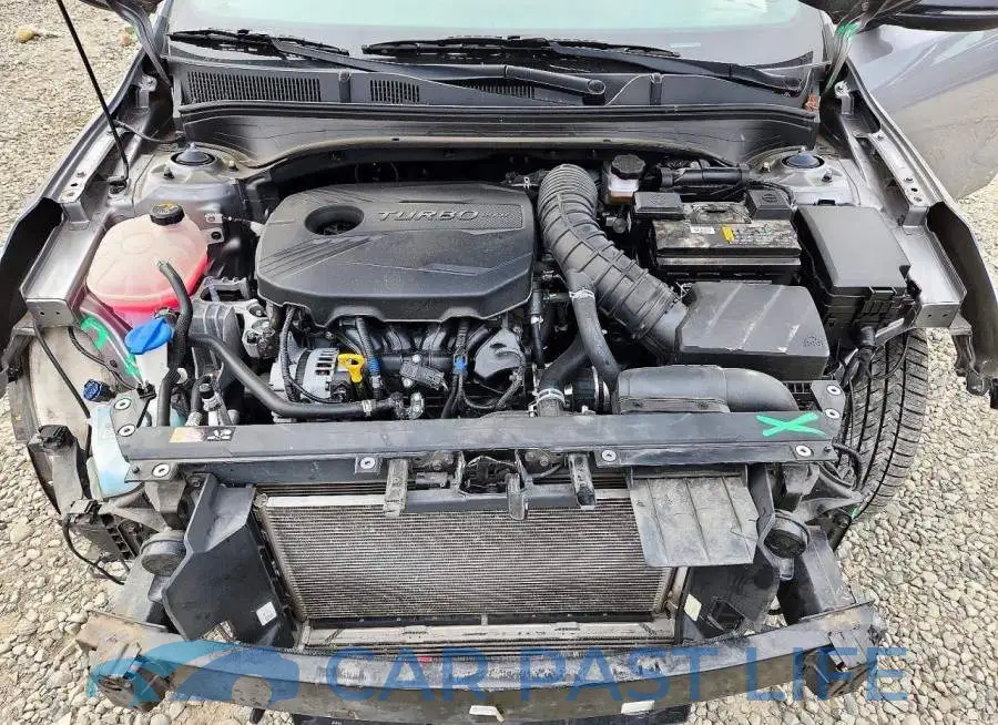 3KPF44AC6PE561660# 11