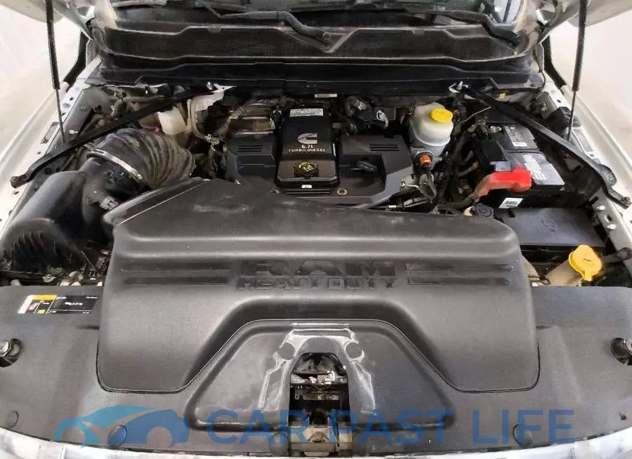 3C7WRTCL1RG110493# 11