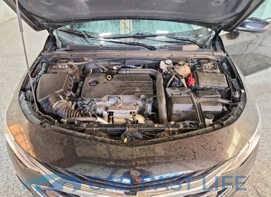 1G1ZD5ST2PF212317# 11