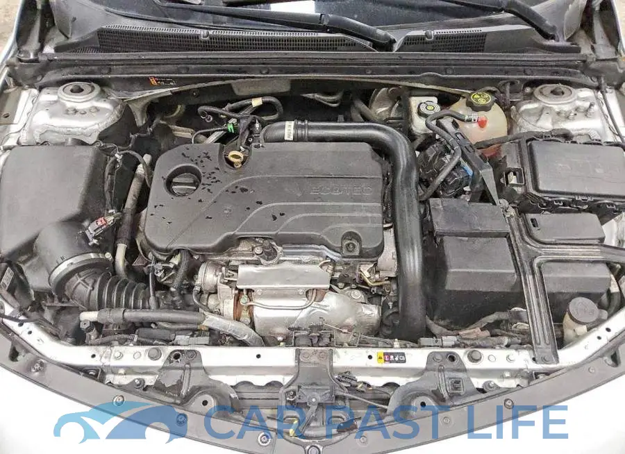 1G1ZD5ST8MF015325# 11