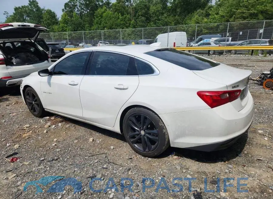 1G1ZD5ST8PF224813# 2