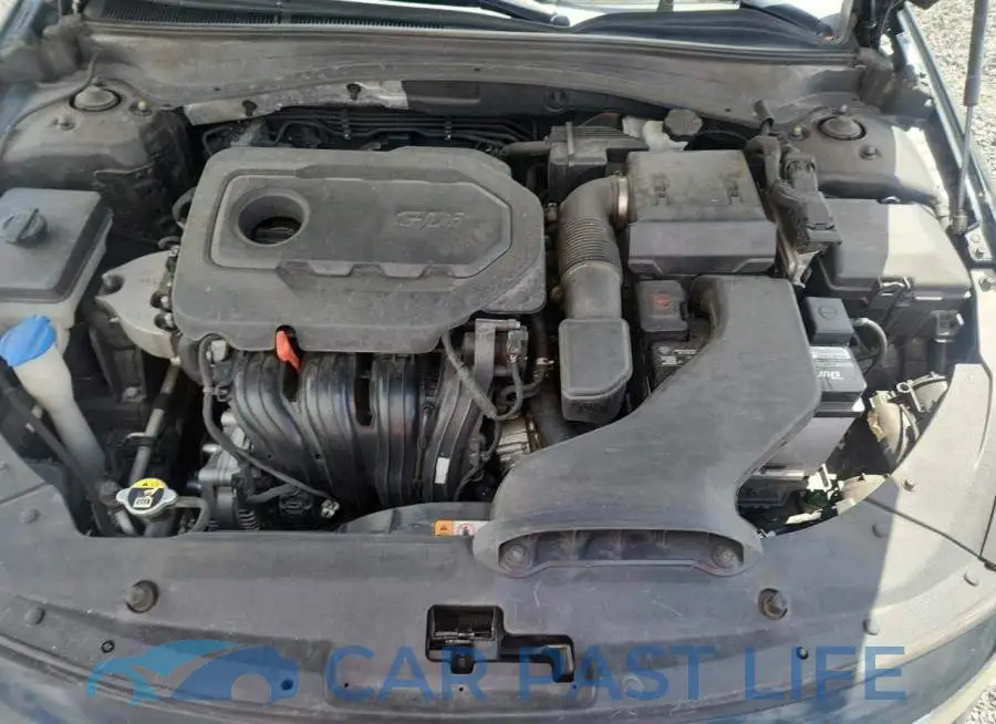 5XXGT4L38KG301684# 11