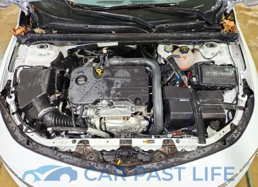 1G1ZD5ST5SF118022# 11