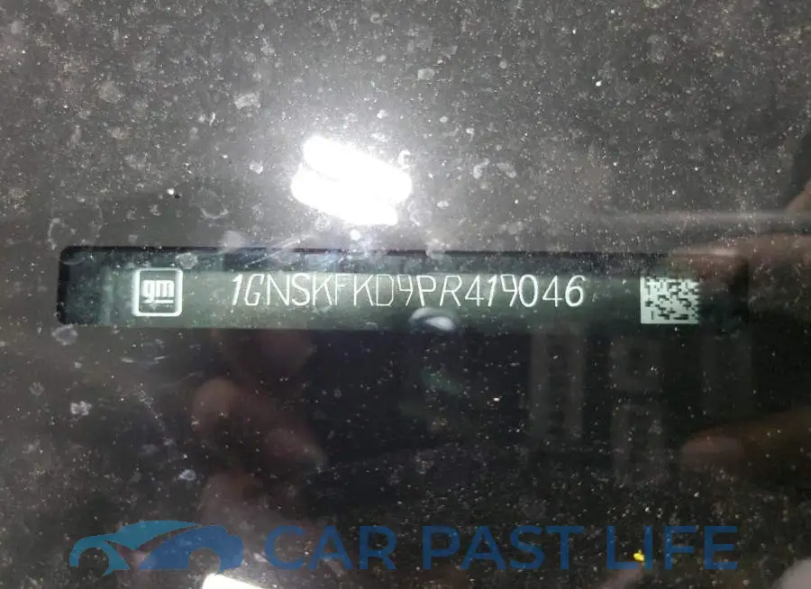 1GNSKFKD9PR419046# 13