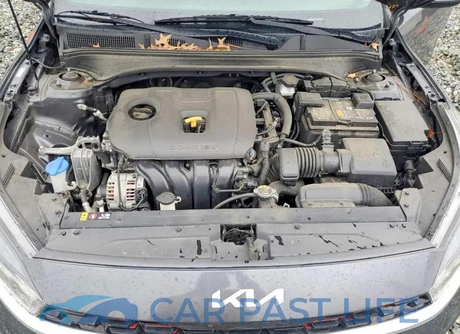 3KPF54AD6PE536392# 11