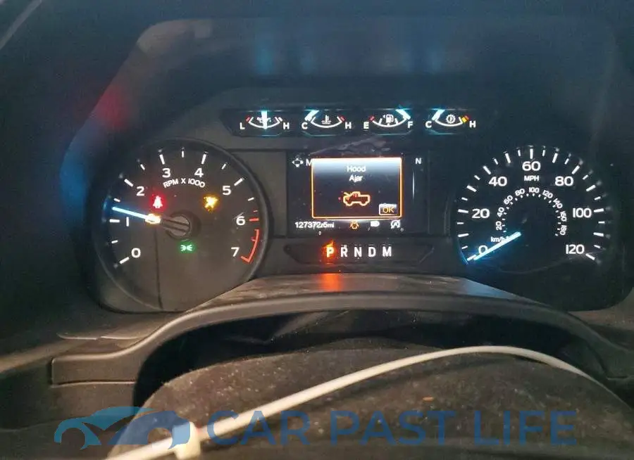 1FTEW1EP1LFA04401# 9