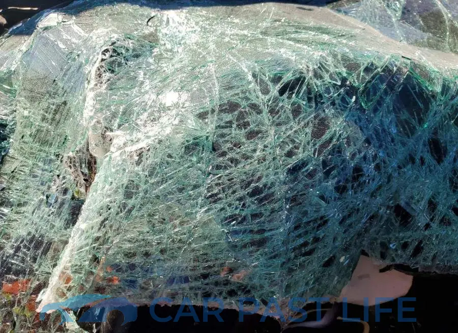 2C3CDZAG7NH218557# 9