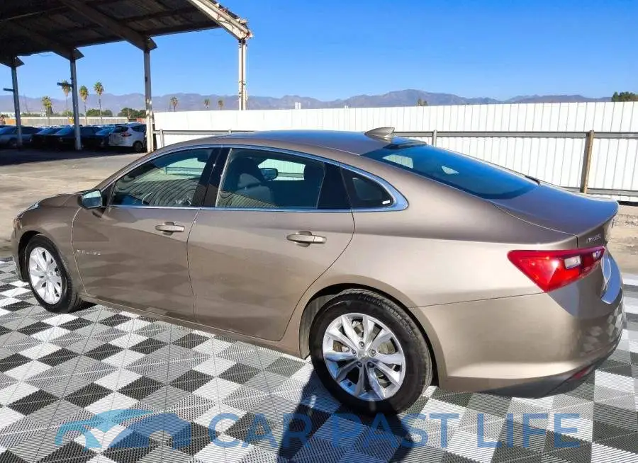 1G1ZD5ST3PF186066# 2