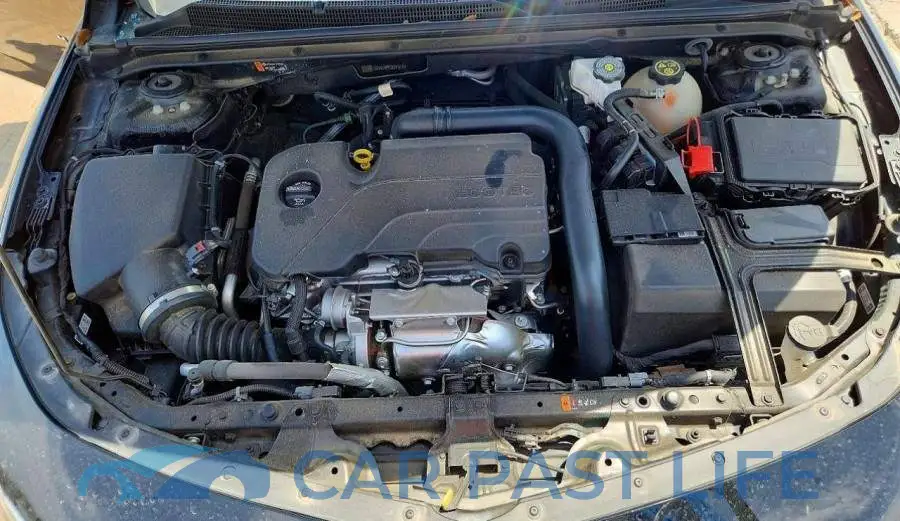 1G1ZD5ST8PF204013# 11