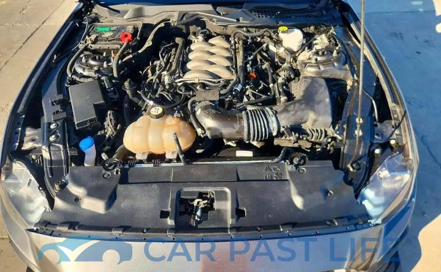 1FA6P8CF5L5142667# 11