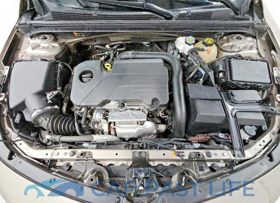 1G1ZD5ST1PF132359# 11