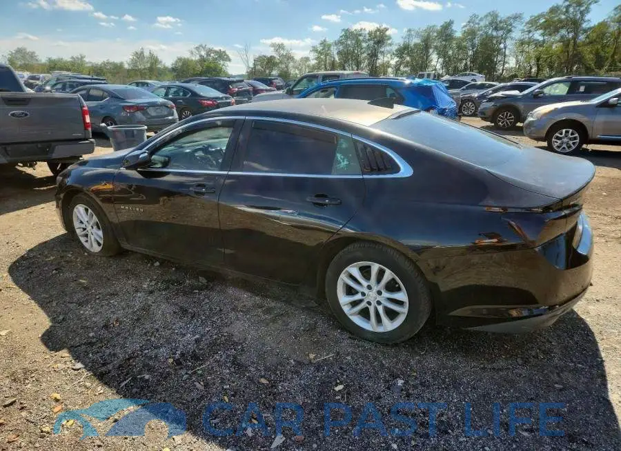 1G1ZD5ST8JF123617# 2