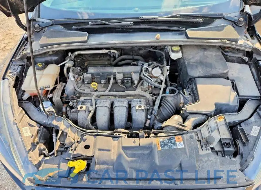 1FADP3H20JL221429# 12