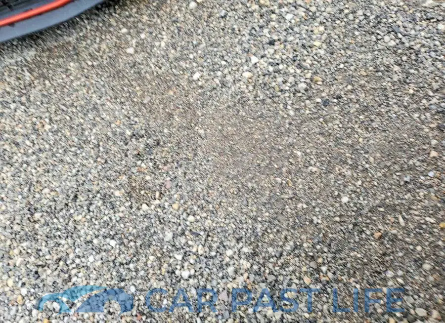 2C3CDZAG1LH178764# 12
