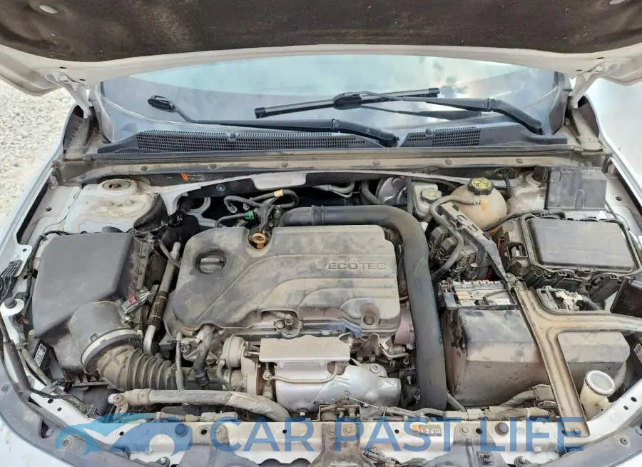 1G1ZD5ST4KF226650# 11