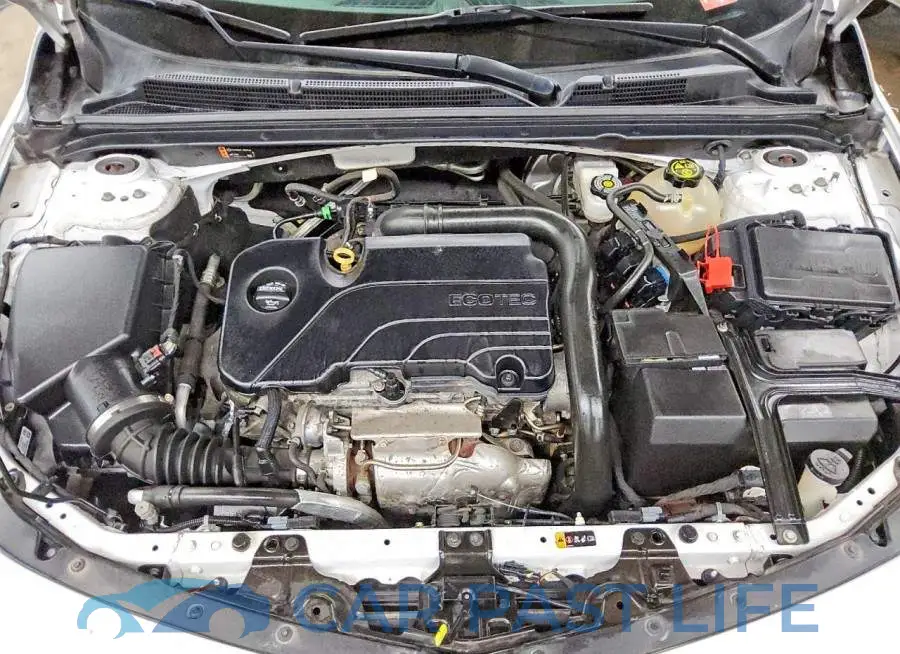 1G1ZD5ST7KF132889# 11