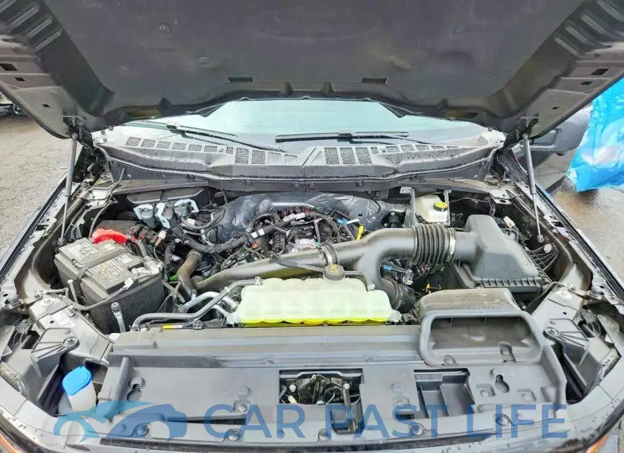 1FTEW3LP5TFA99026# 11