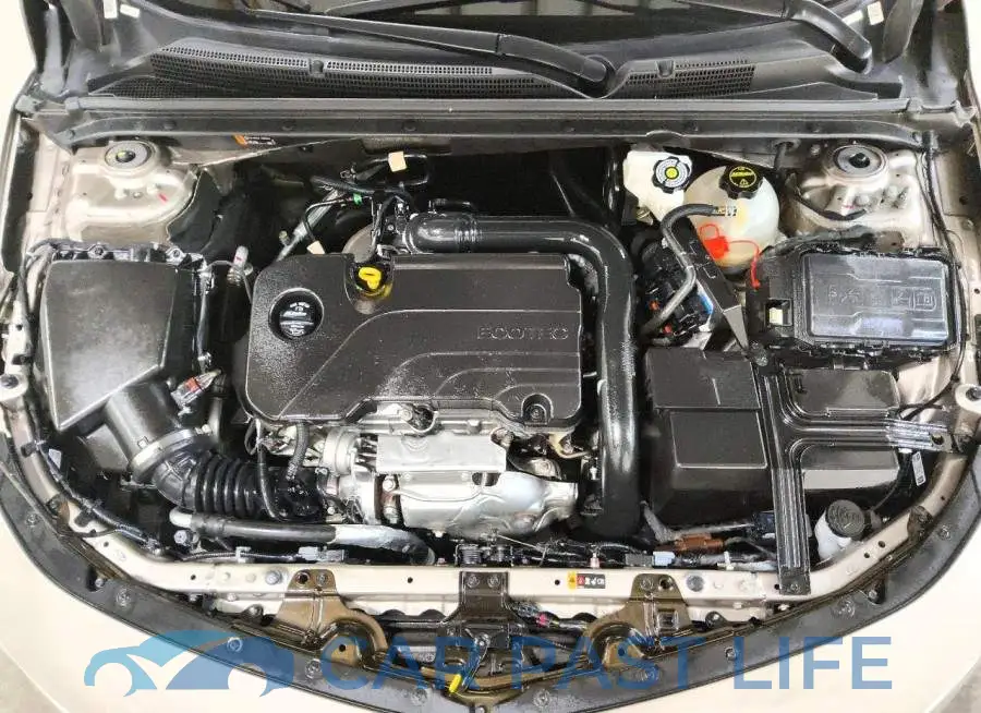 1G1ZD5ST5RF231981# 11