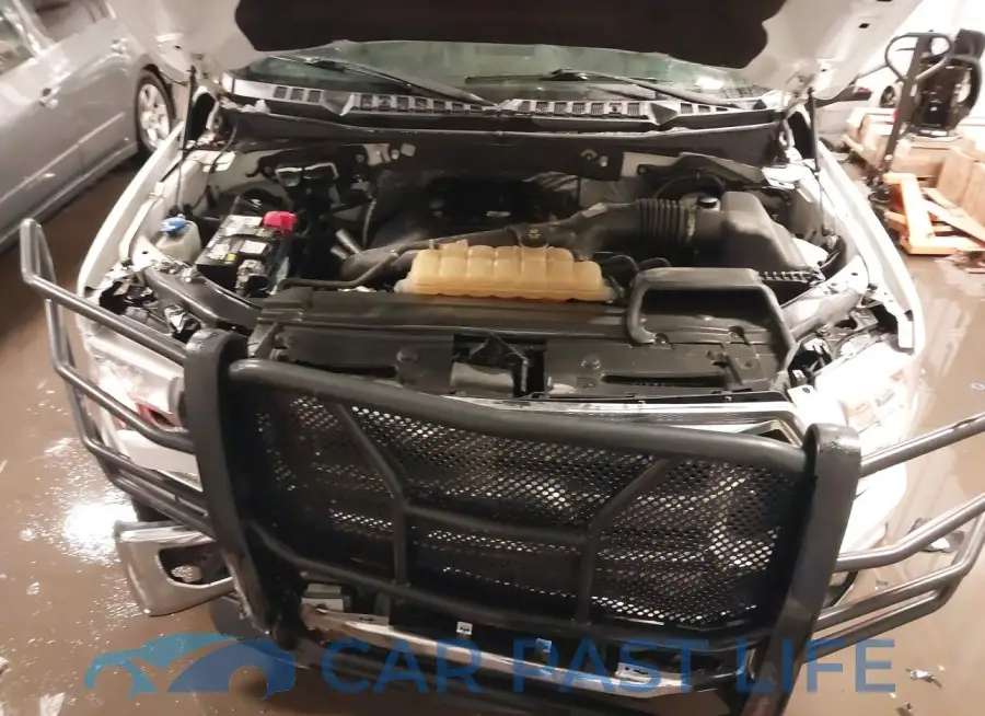 1FTEW1EG6FKF17185# 10