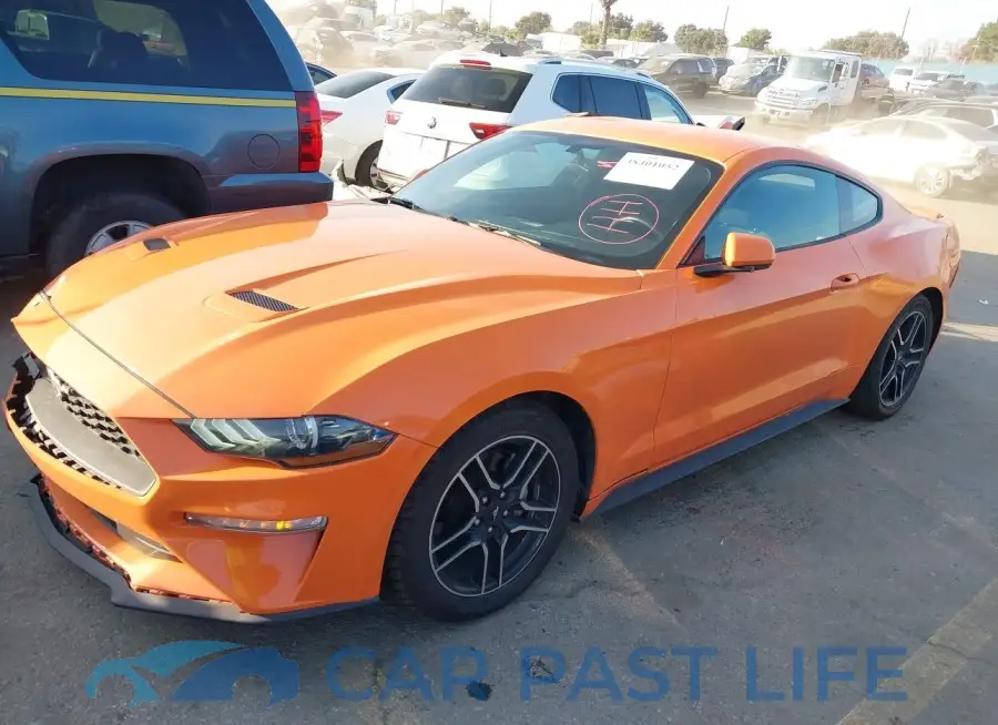 1FA6P8TH1L5146586# 2