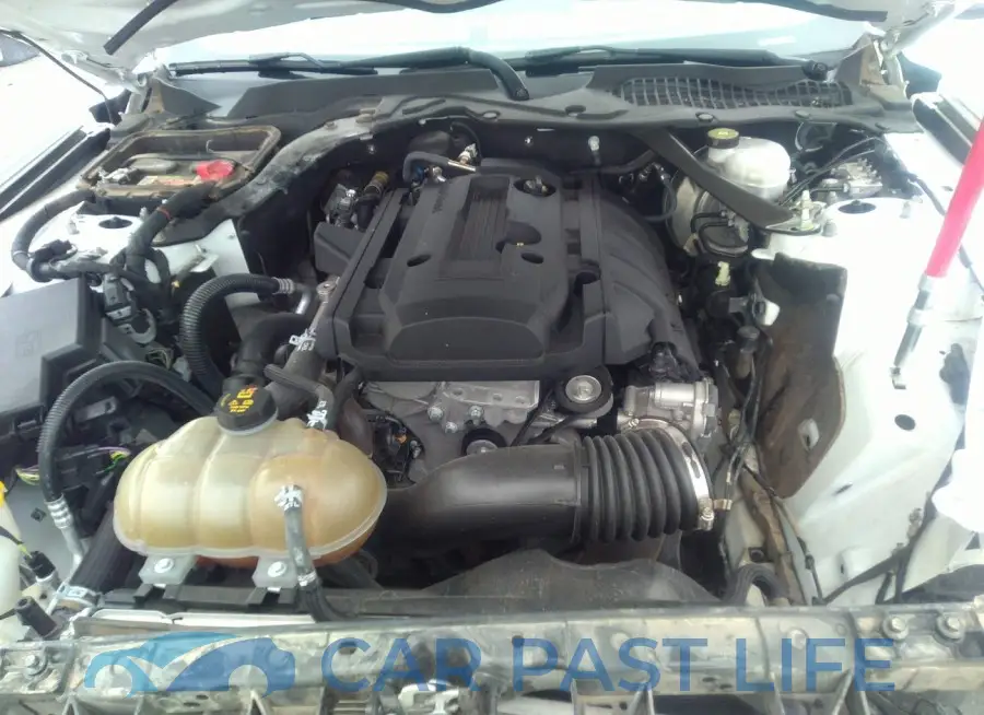 1FATP8UH4J5138481# 10