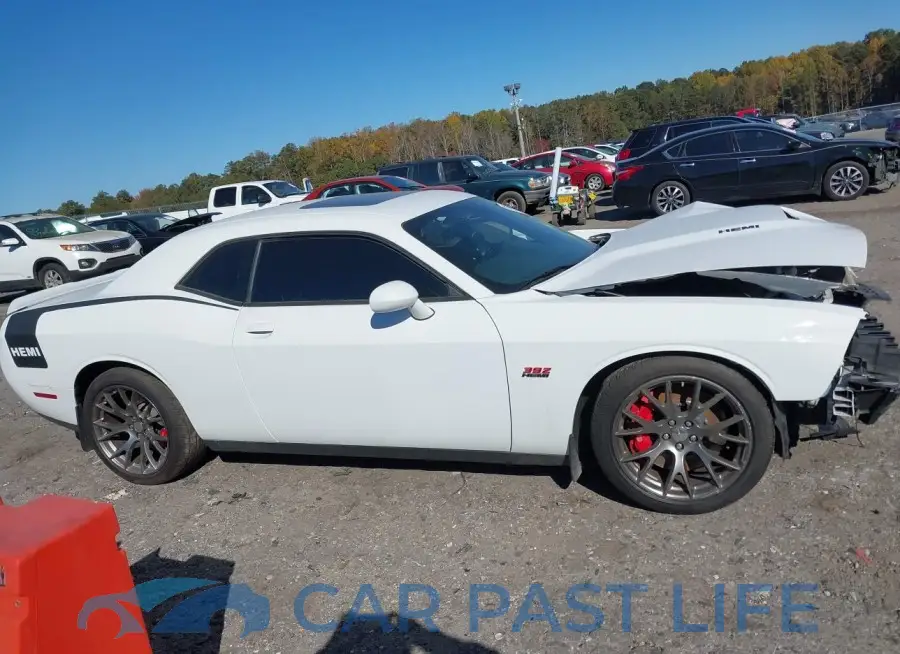 2C3CDZDJ2FH706856# 13