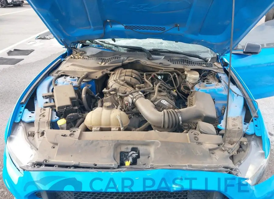 1FA6P8AM4H5259715# 10