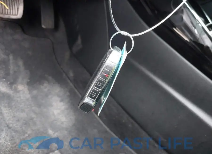 3KPF54AD6LE254229# 11