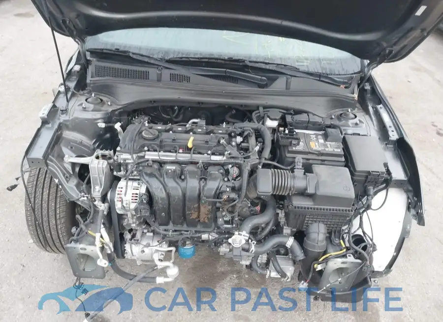 3KPF54AD6PE623810# 10