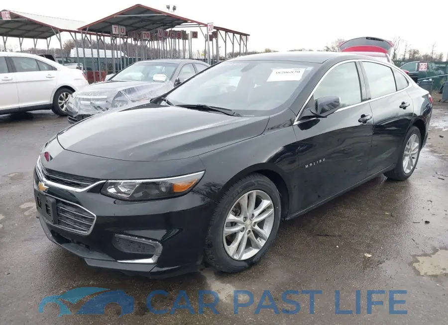 1G1ZD5ST9JF238260# 2