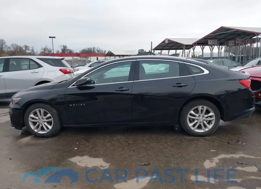 1G1ZD5ST9JF238260# 13