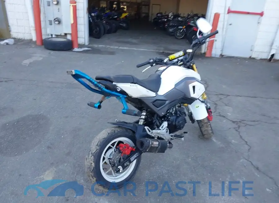 MLHJC6117H5204294# 4