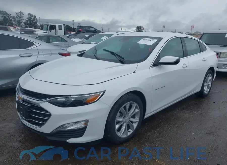 1G1ZD5ST5RF132125# 2