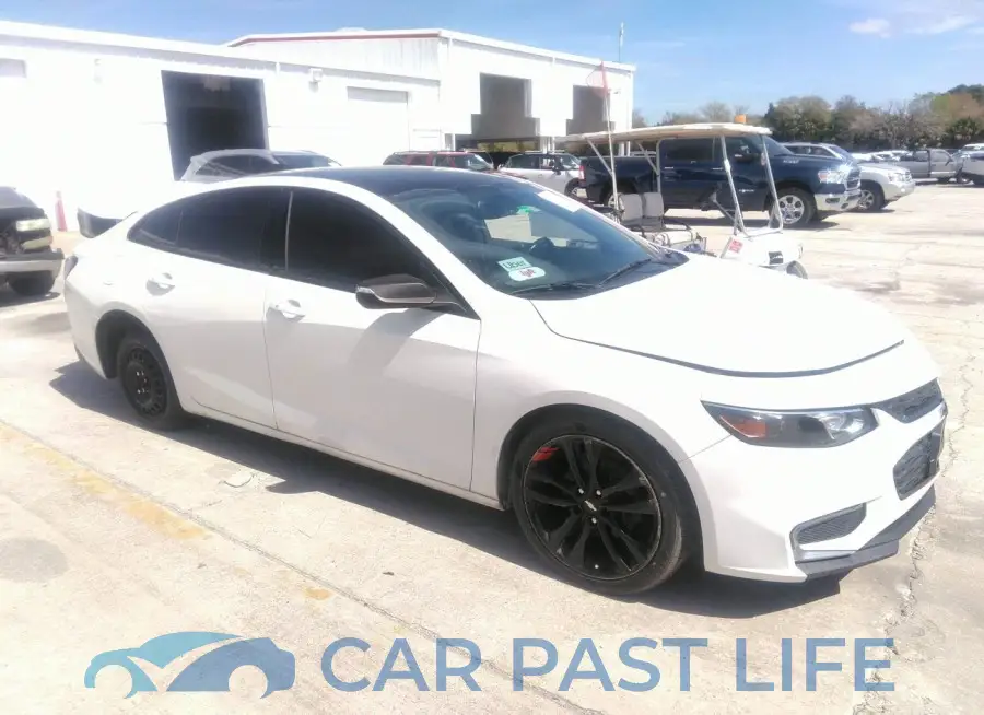 1G1ZD5ST5JF290128# 13