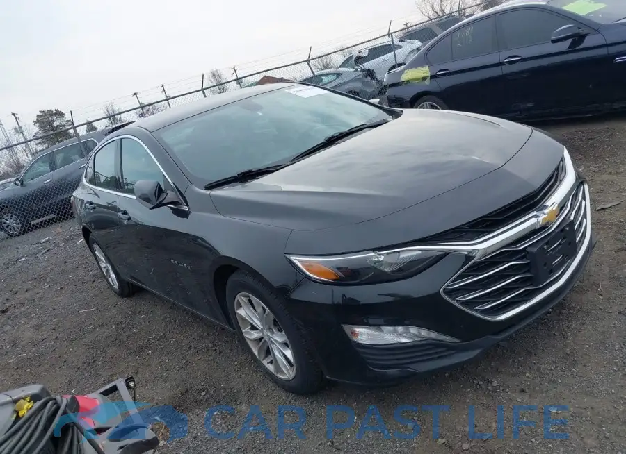 1G1ZD5ST5KF126055# 1