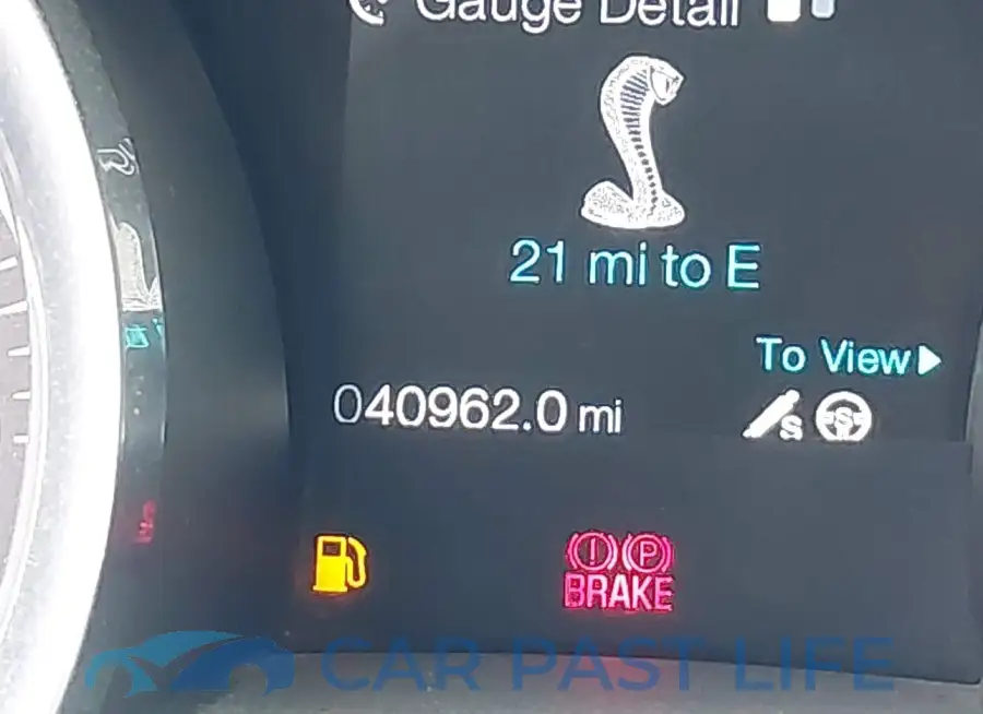 1ZVBP8JZ4E5261946# 16