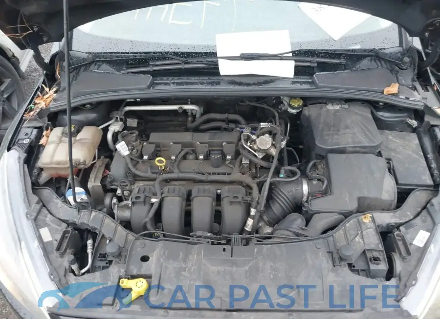 1FADP3F20GL335006# 10