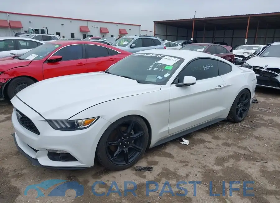 1FA6P8TH5F5349677# 2