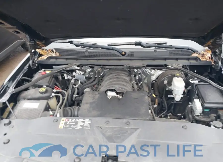 1GCNCNEH8JZ221691# 10